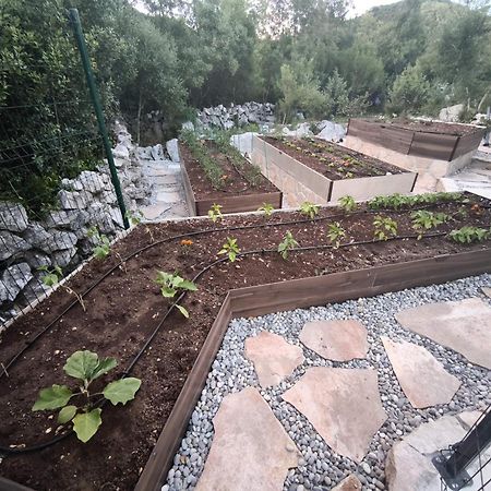 Villa Ilir Neum Ngoại thất bức ảnh