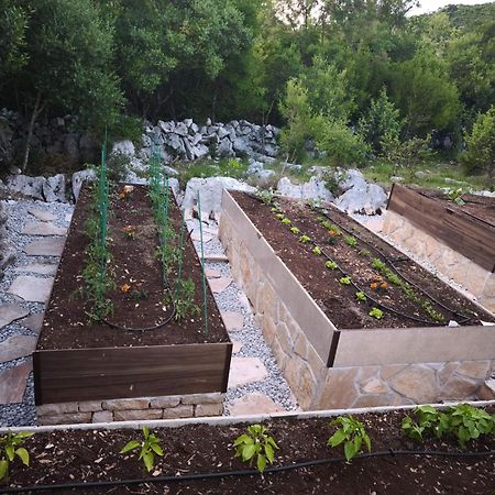 Villa Ilir Neum Ngoại thất bức ảnh